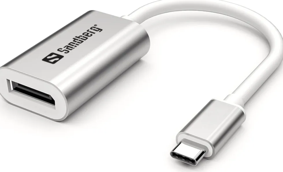 USB-C to DisplayPort Link, Silver