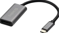 USB-C to DisplayPort Link, Silver