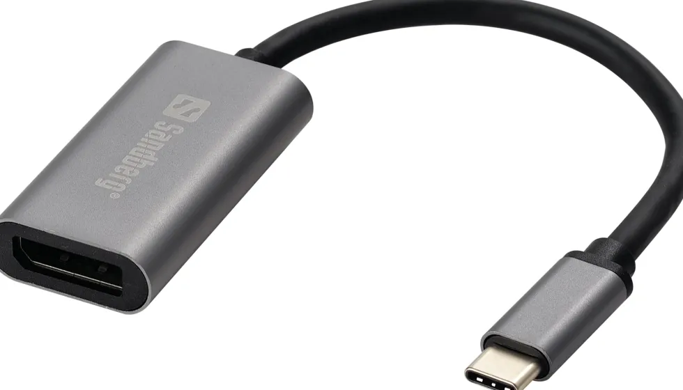 USB-C to DisplayPort Link, Silver