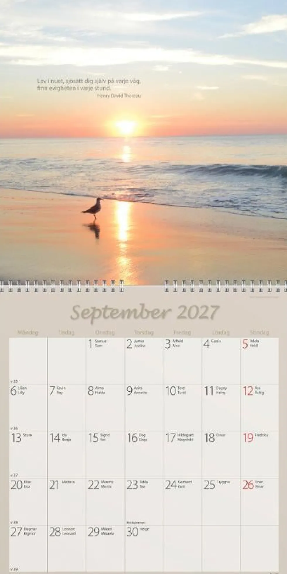 Väggkalender Carpe Diem 2027