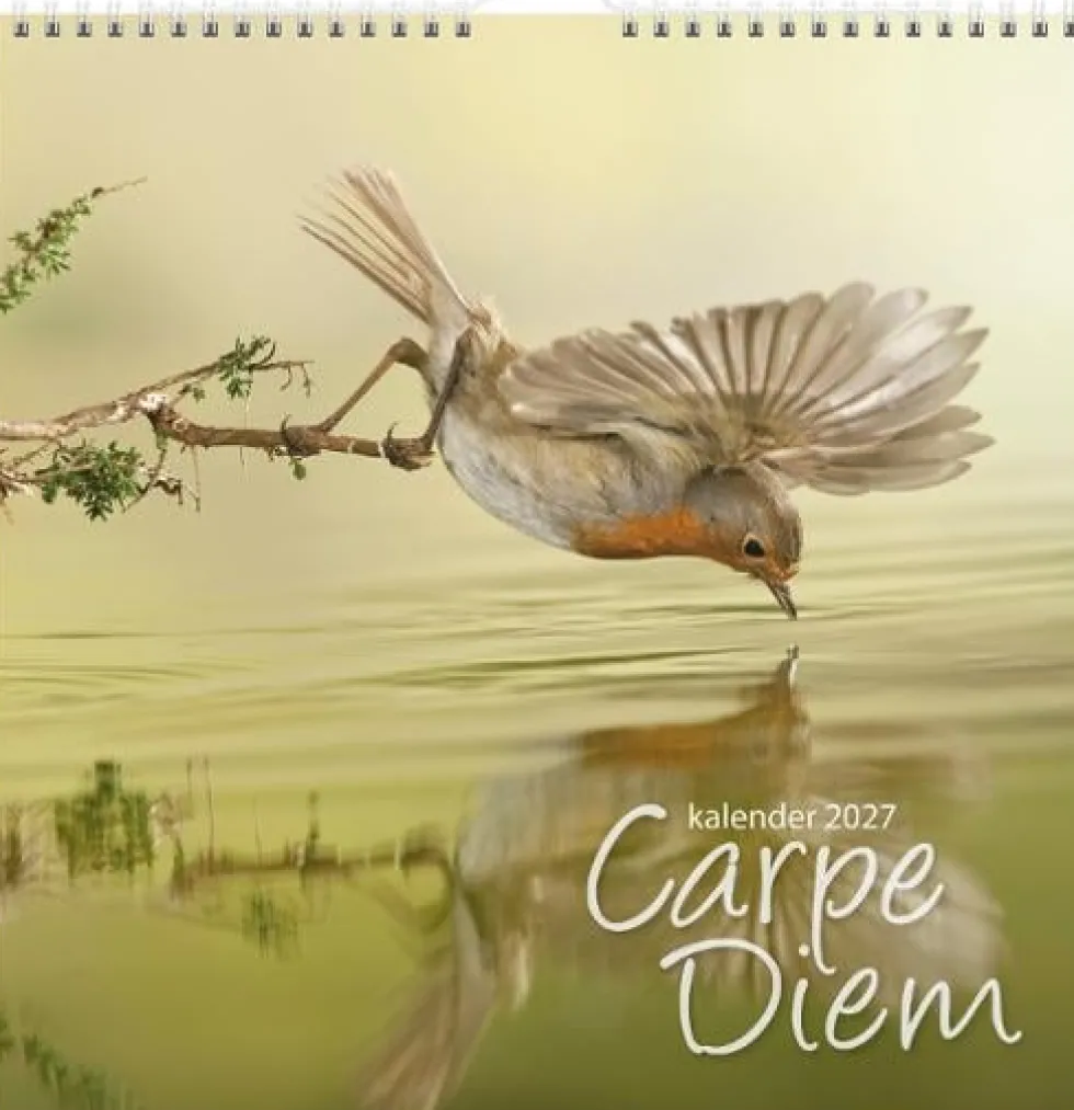 Väggkalender Carpe Diem 2027