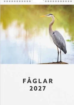 Väggkalender Fåglar 2027