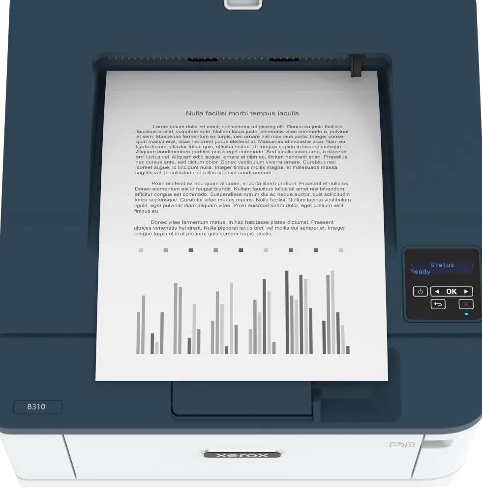 Xerox B310 - Skrivare - svartvit - Duplex - laser - A4/Legal