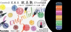Zig Cambio Tambien 6 color set B