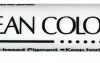 ZIG Clean Color DOT Pen Platinum